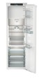 IRBci 5151 (1).jpg
