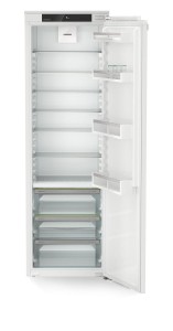 IRBd 5120 (1).jpg