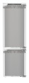 ICBNci 5153 (2).jpg