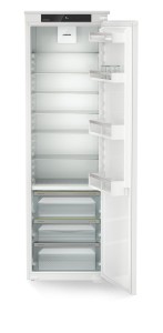 IRBSd 5120 (1).jpg