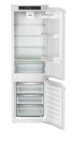 ICNd 5103 (1).jpg